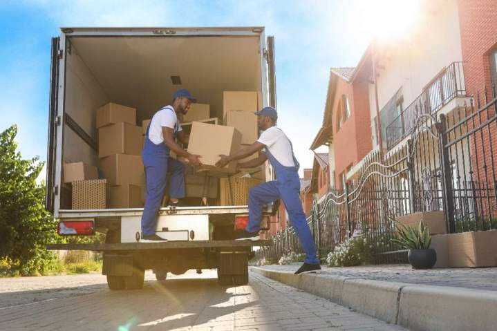 Transfert professionnel Guadeloupe